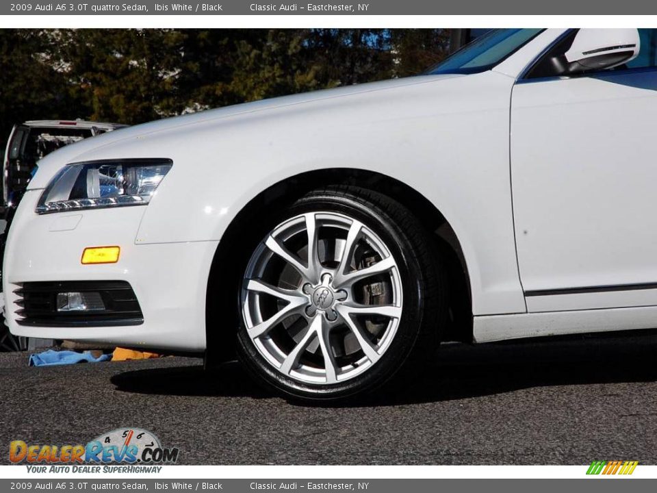2009 Audi A6 3.0T quattro Sedan Ibis White / Black Photo #1