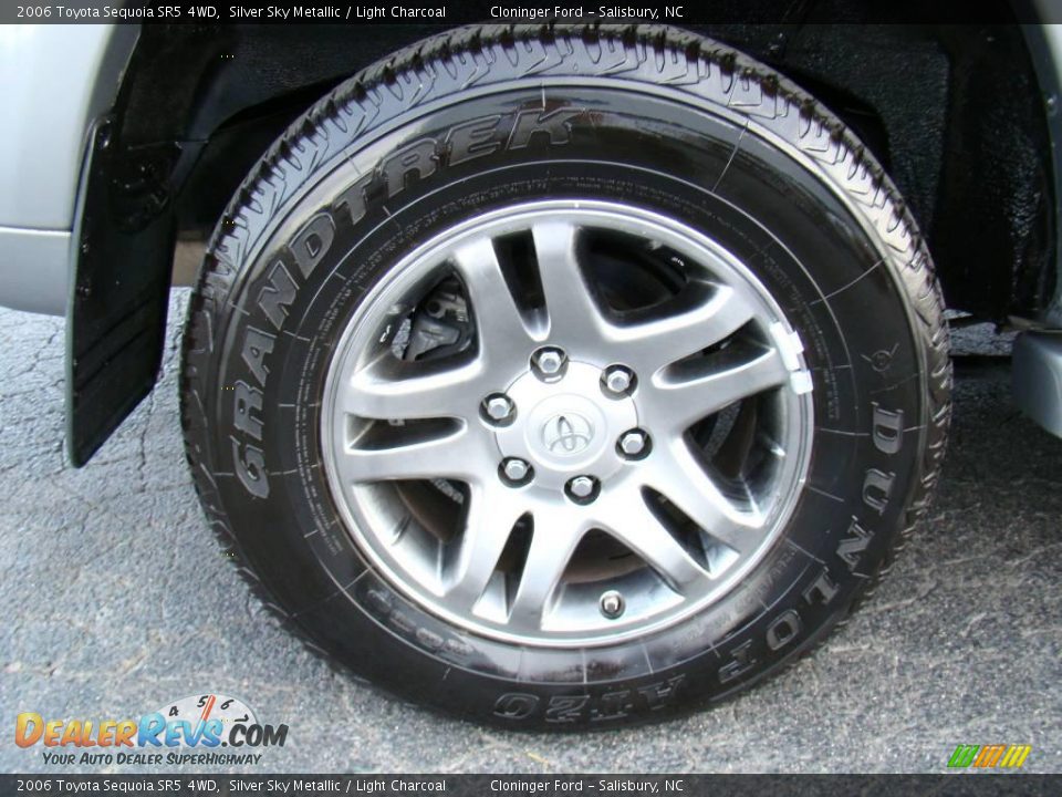 2006 Toyota Sequoia SR5 4WD Silver Sky Metallic / Light Charcoal Photo #18