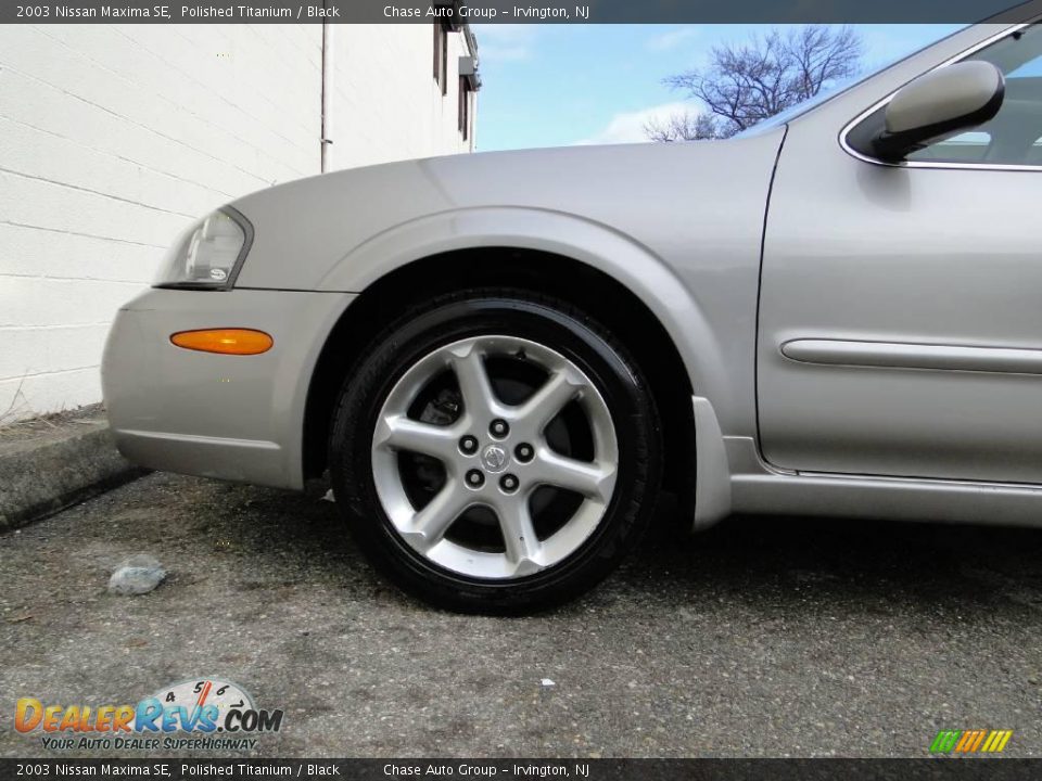 2003 Nissan Maxima SE Polished Titanium / Black Photo #11