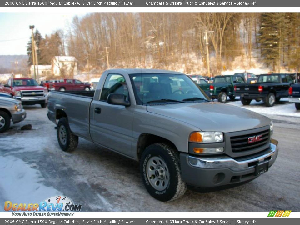 2006 GMC Sierra 1500 Regular Cab 4x4 Silver Birch Metallic / Pewter Photo #12