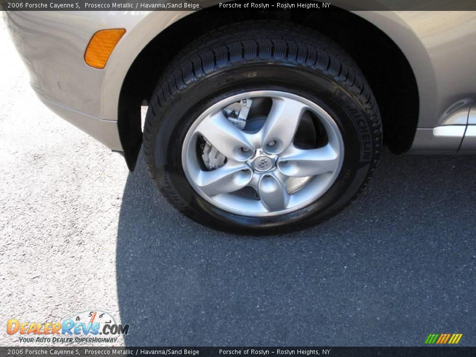 2006 Porsche Cayenne S Prosecco Metallic / Havanna/Sand Beige Photo #10