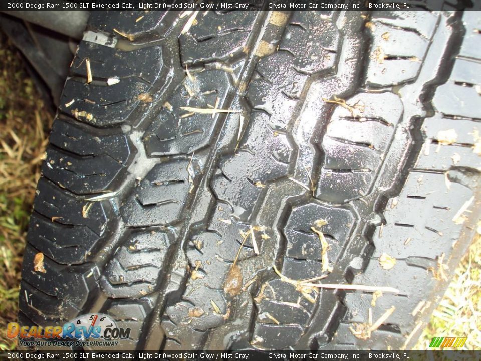 2000 Dodge Ram 1500 SLT Extended Cab Light Driftwood Satin Glow / Mist Gray Photo #14