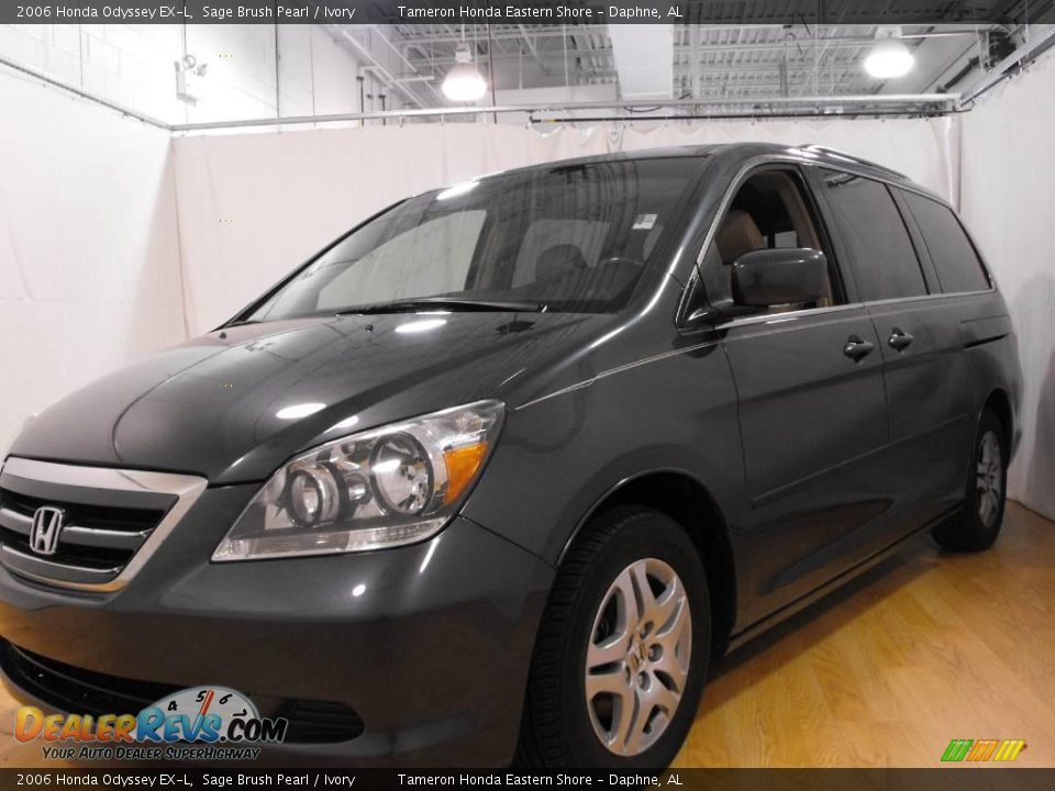 2006 Honda Odyssey EX-L Sage Brush Pearl / Ivory Photo #1