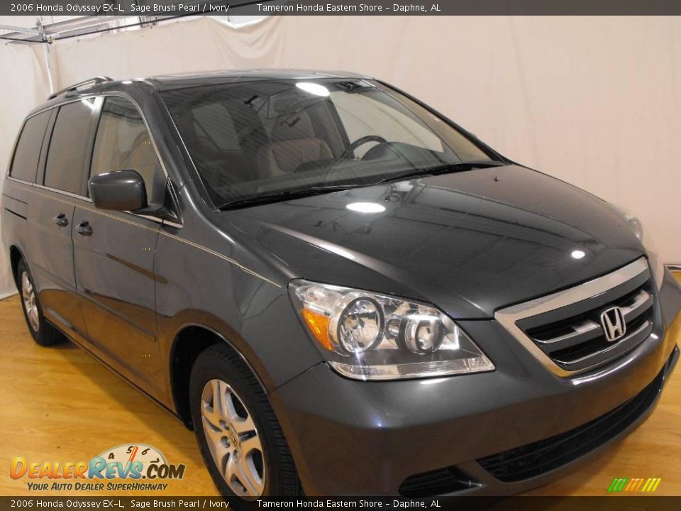 2006 Honda Odyssey EX-L Sage Brush Pearl / Ivory Photo #7