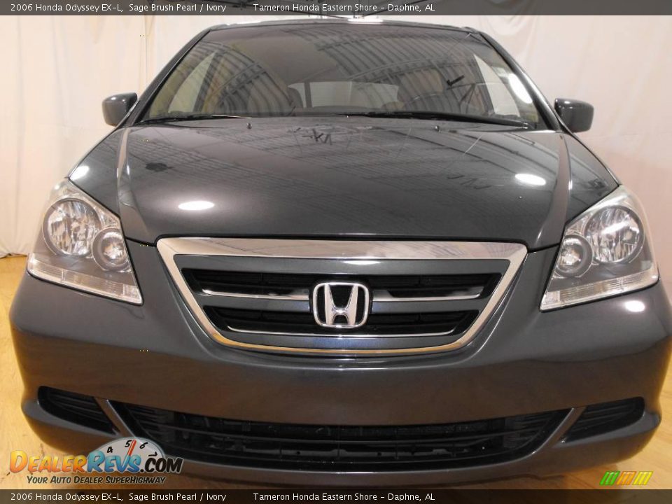 2006 Honda Odyssey EX-L Sage Brush Pearl / Ivory Photo #8