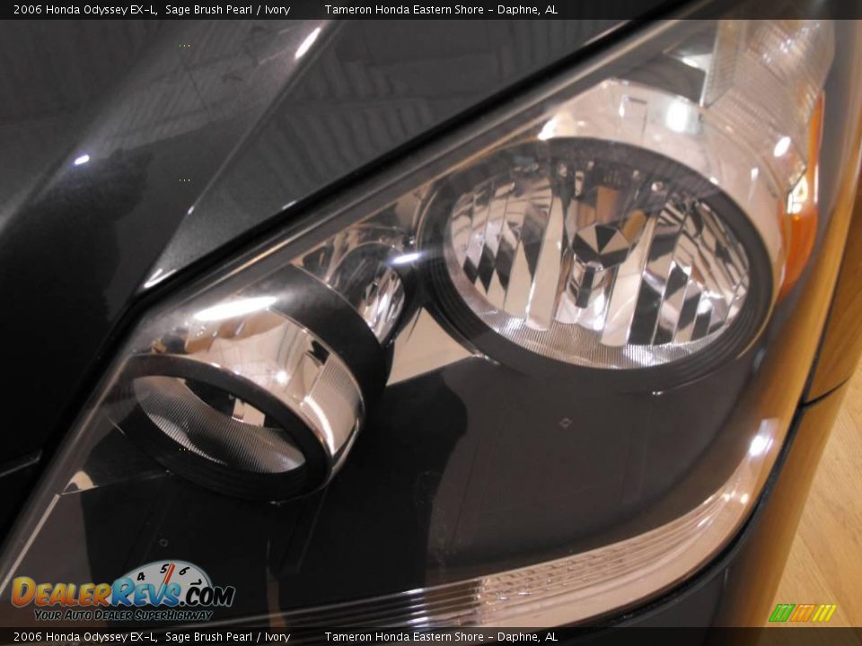 2006 Honda Odyssey EX-L Sage Brush Pearl / Ivory Photo #29