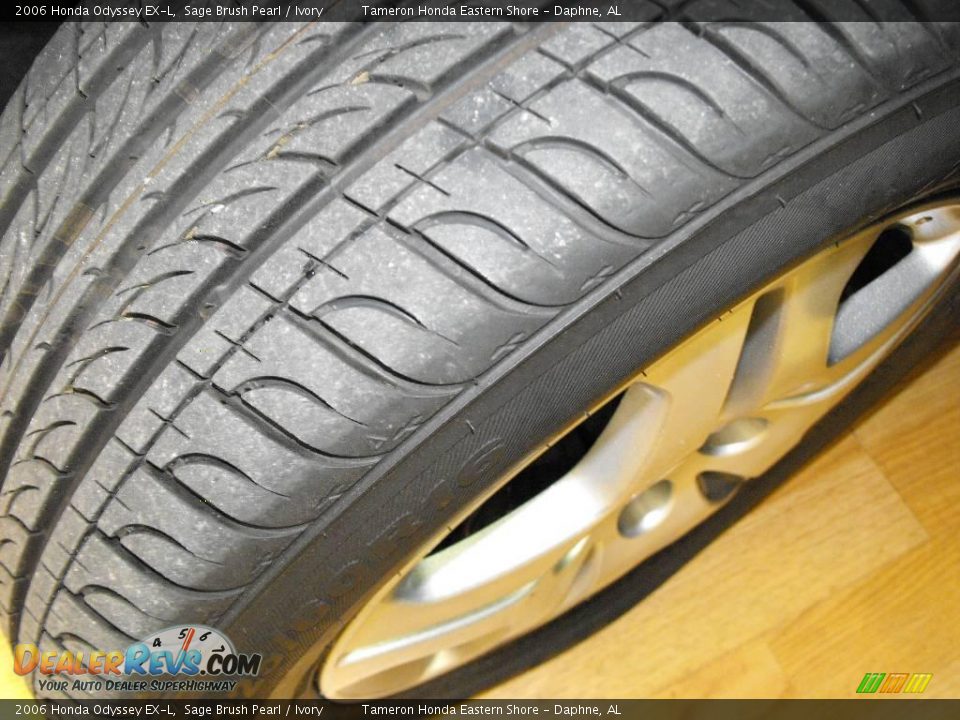 2006 Honda Odyssey EX-L Sage Brush Pearl / Ivory Photo #30