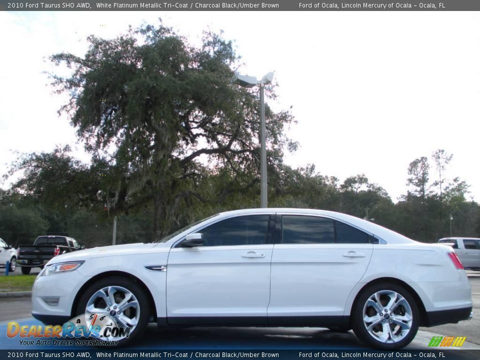 2010 Ford Taurus SHO AWD White Platinum Metallic Tri-Coat / Charcoal Black/Umber Brown Photo #2