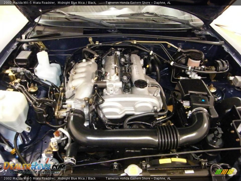 2002 Mazda MX-5 Miata Roadster Midnight Blue Mica / Black Photo #32