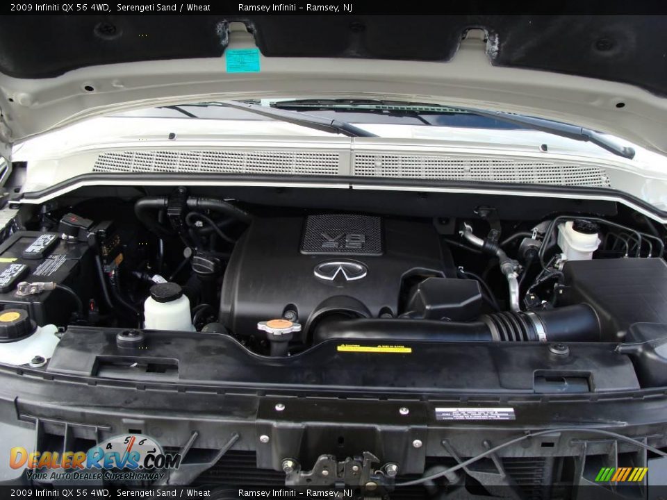2009 Infiniti QX 56 4WD Serengeti Sand / Wheat Photo #16