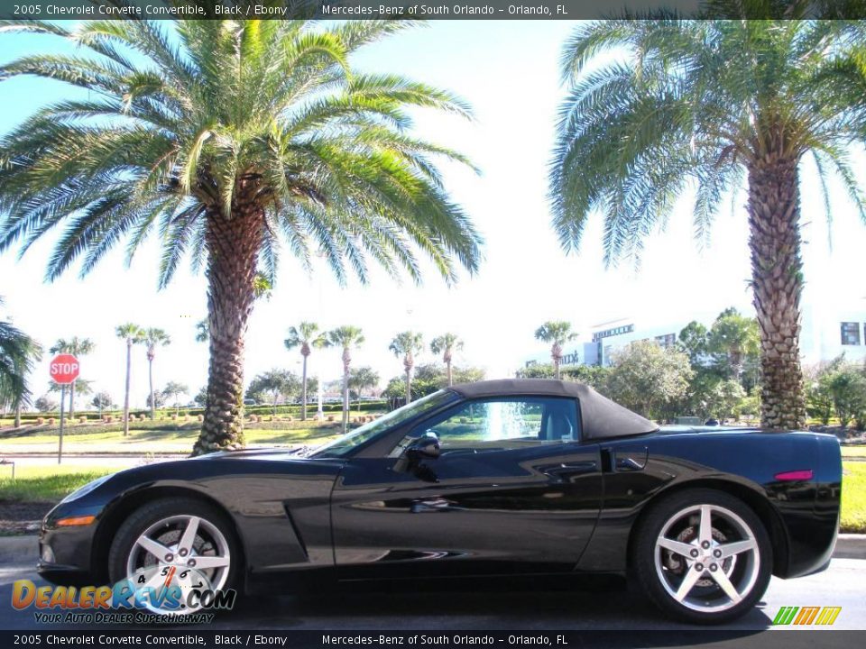 2005 Chevrolet Corvette Convertible Black / Ebony Photo #1