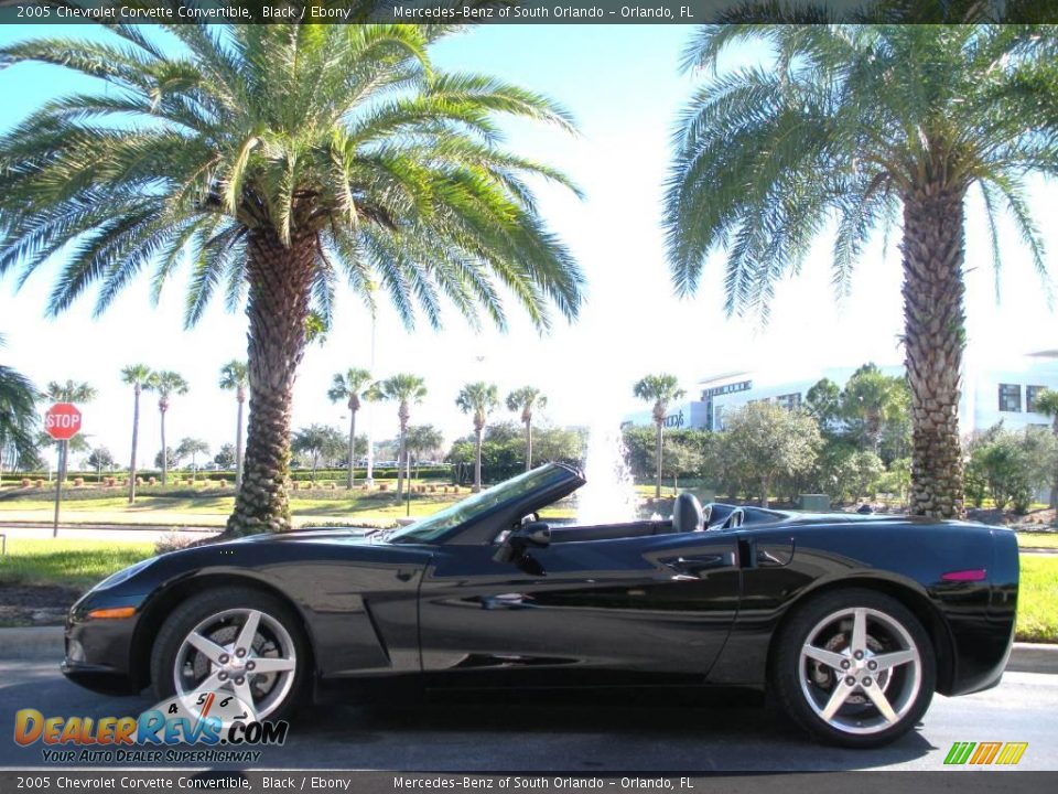 2005 Chevrolet Corvette Convertible Black / Ebony Photo #13