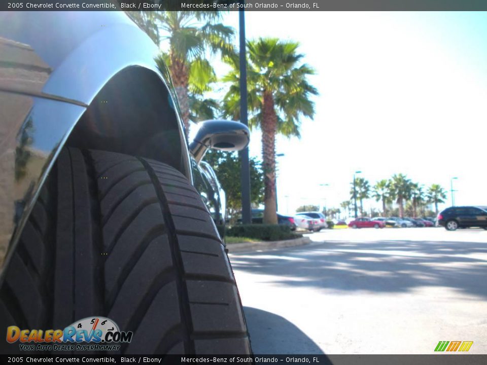 2005 Chevrolet Corvette Convertible Black / Ebony Photo #15