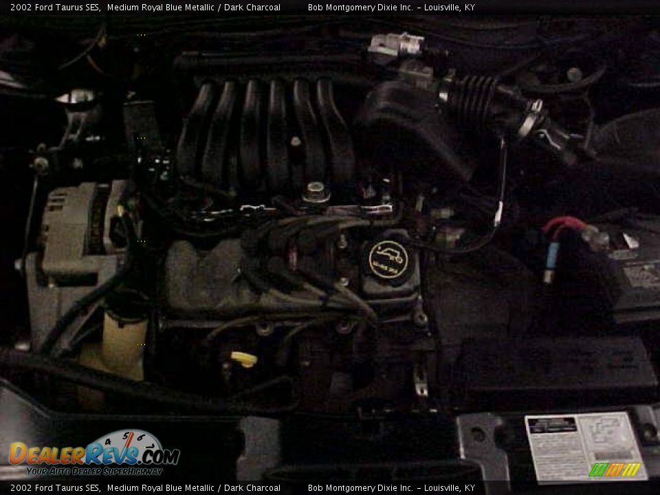 2002 Ford Taurus SES Medium Royal Blue Metallic / Dark Charcoal Photo #24
