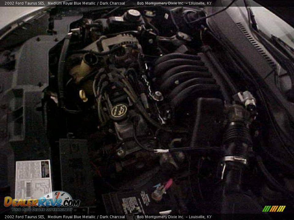 2002 Ford Taurus SES Medium Royal Blue Metallic / Dark Charcoal Photo #25