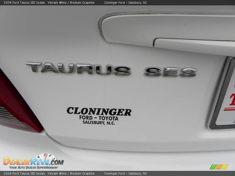 2004 Ford Taurus SES Sedan Vibrant White / Medium Graphite Photo #14