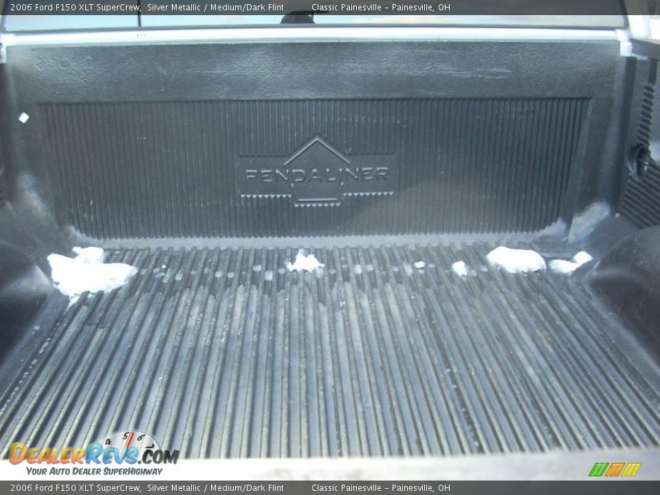 2006 Ford F150 XLT SuperCrew Silver Metallic / Medium/Dark Flint Photo #6