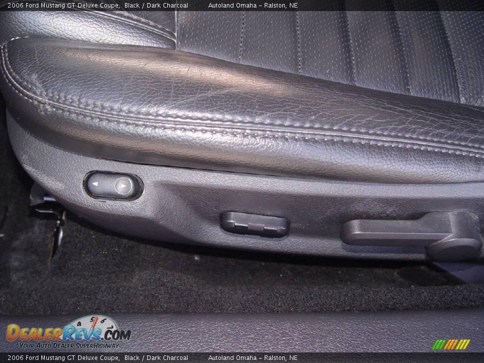 2006 Ford Mustang GT Deluxe Coupe Black / Dark Charcoal Photo #10