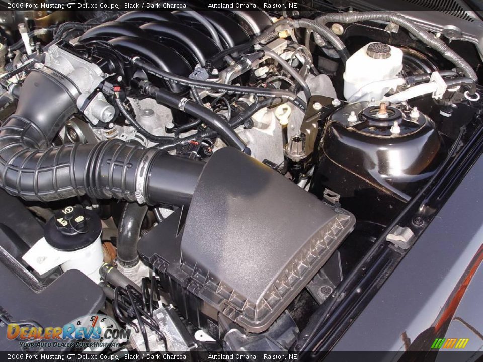 2006 Ford Mustang GT Deluxe Coupe Black / Dark Charcoal Photo #22