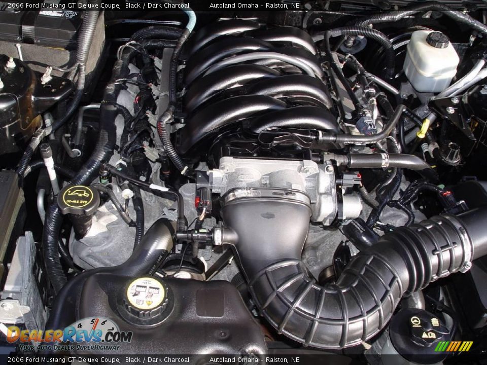 2006 Ford Mustang GT Deluxe Coupe Black / Dark Charcoal Photo #23