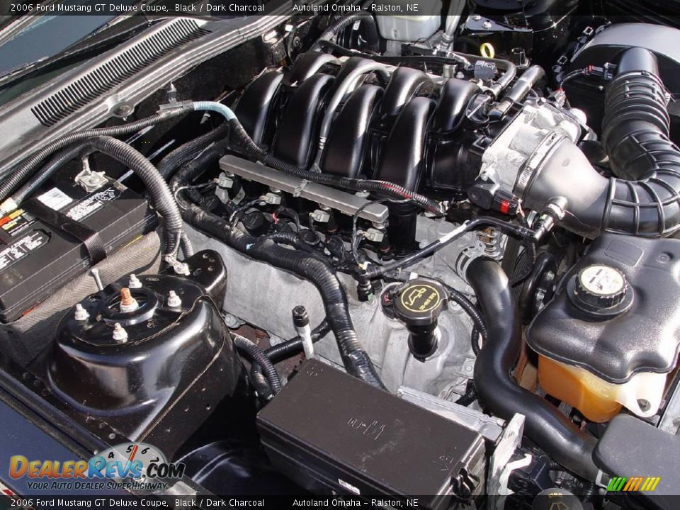 2006 Ford Mustang GT Deluxe Coupe Black / Dark Charcoal Photo #24
