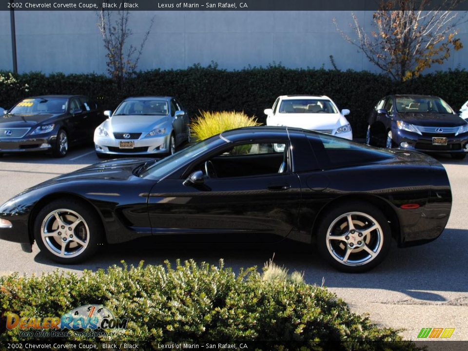 2002 Chevrolet Corvette Coupe Black / Black Photo #8