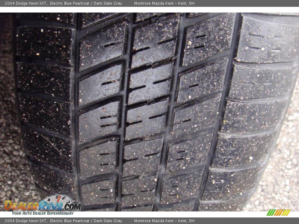 2004 Dodge Neon SXT Electric Blue Pearlcoat / Dark Slate Gray Photo #25