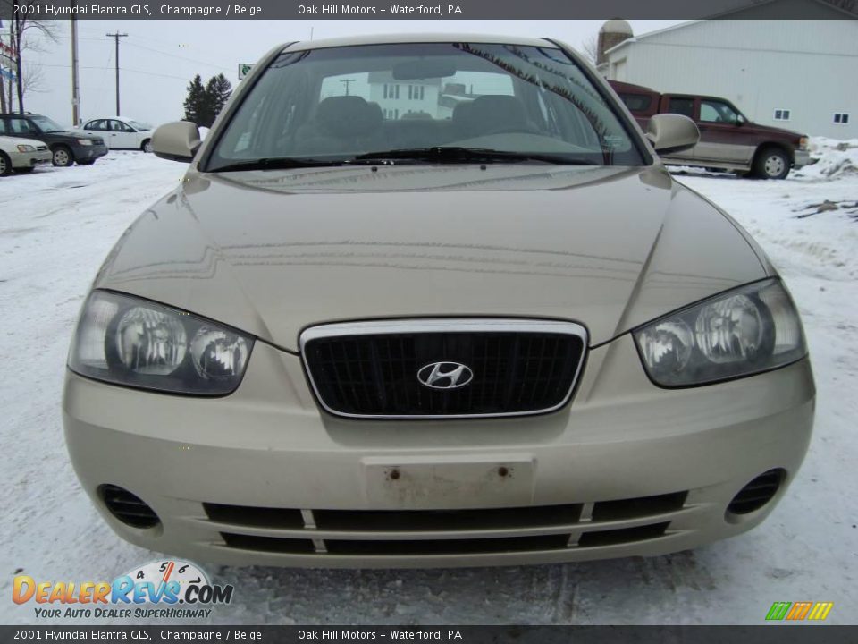 2001 Hyundai Elantra GLS Champagne / Beige Photo #4