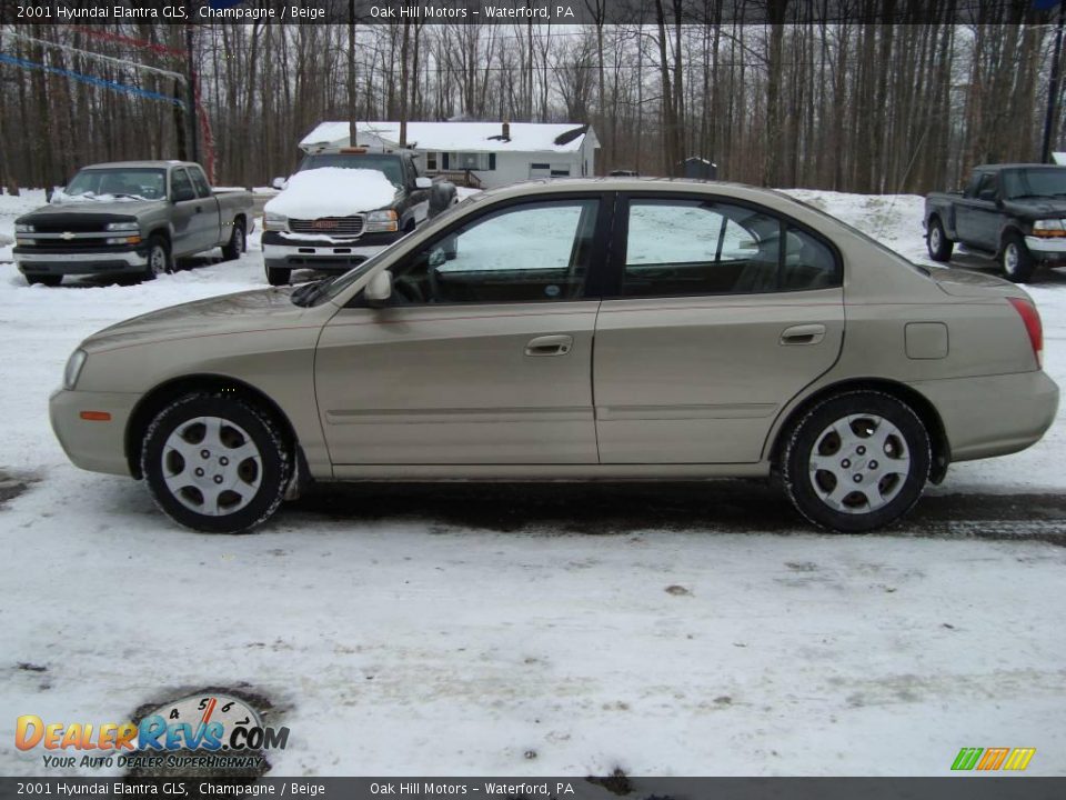 2001 Hyundai Elantra GLS Champagne / Beige Photo #6