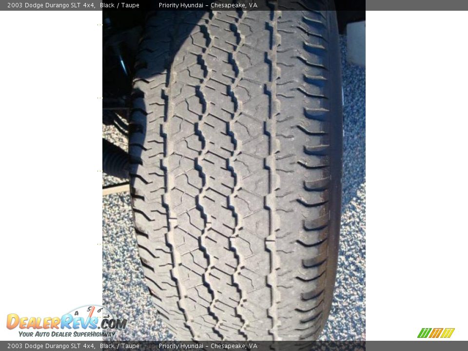 2003 Dodge Durango SLT 4x4 Black / Taupe Photo #18