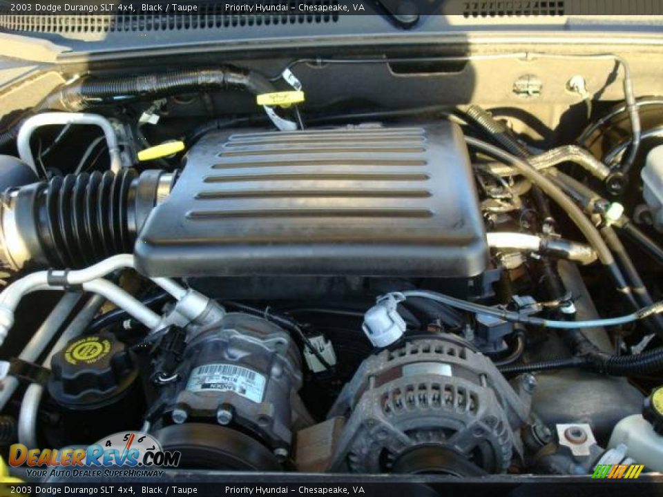 2003 Dodge Durango SLT 4x4 Black / Taupe Photo #19