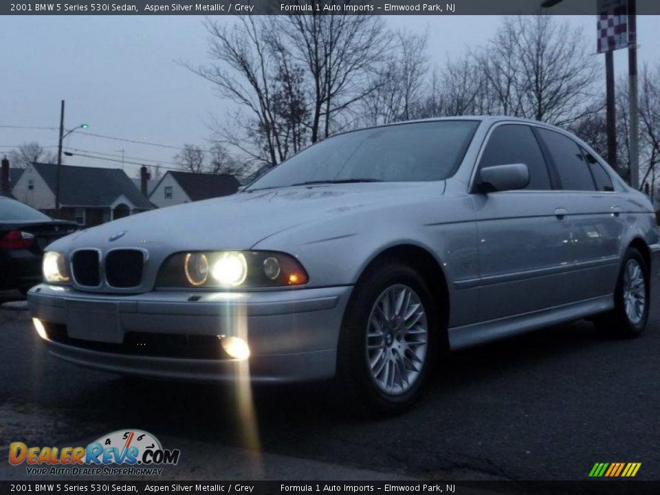 2001 BMW 5 Series 530i Sedan Aspen Silver Metallic / Grey Photo #1