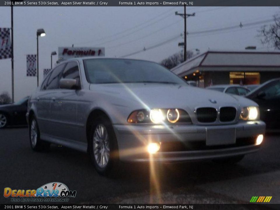 2001 BMW 5 Series 530i Sedan Aspen Silver Metallic / Grey Photo #2
