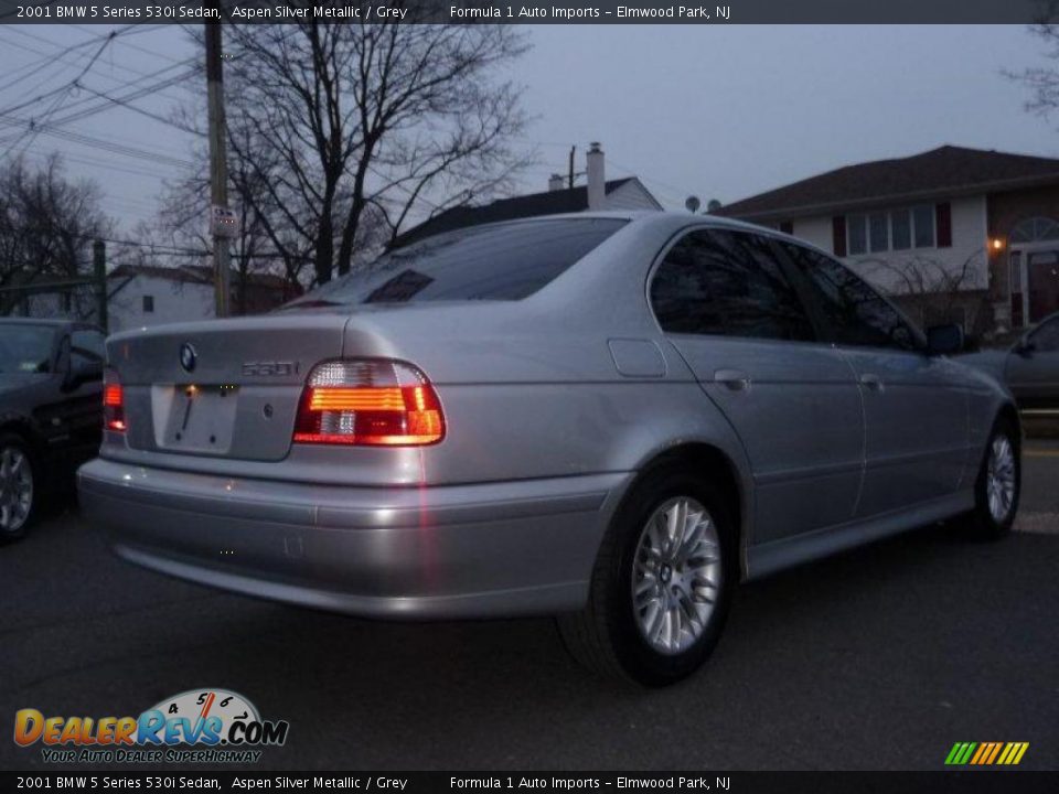 2001 BMW 5 Series 530i Sedan Aspen Silver Metallic / Grey Photo #3