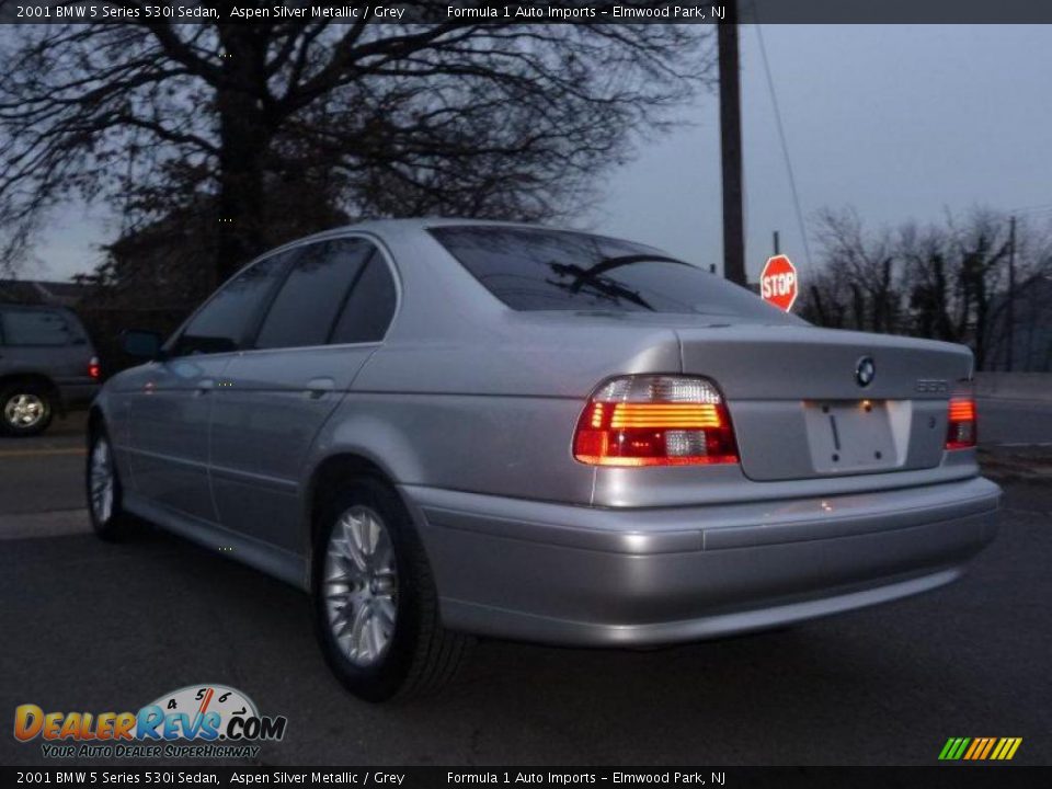 2001 BMW 5 Series 530i Sedan Aspen Silver Metallic / Grey Photo #5