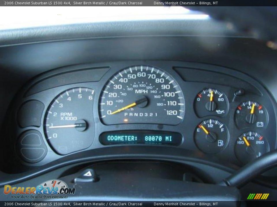 2006 Chevrolet Suburban LS 1500 4x4 Silver Birch Metallic / Gray/Dark Charcoal Photo #13