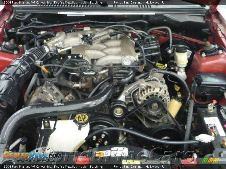 2004 Ford Mustang V6 Convertible Redfire Metallic / Medium Parchment Photo #10