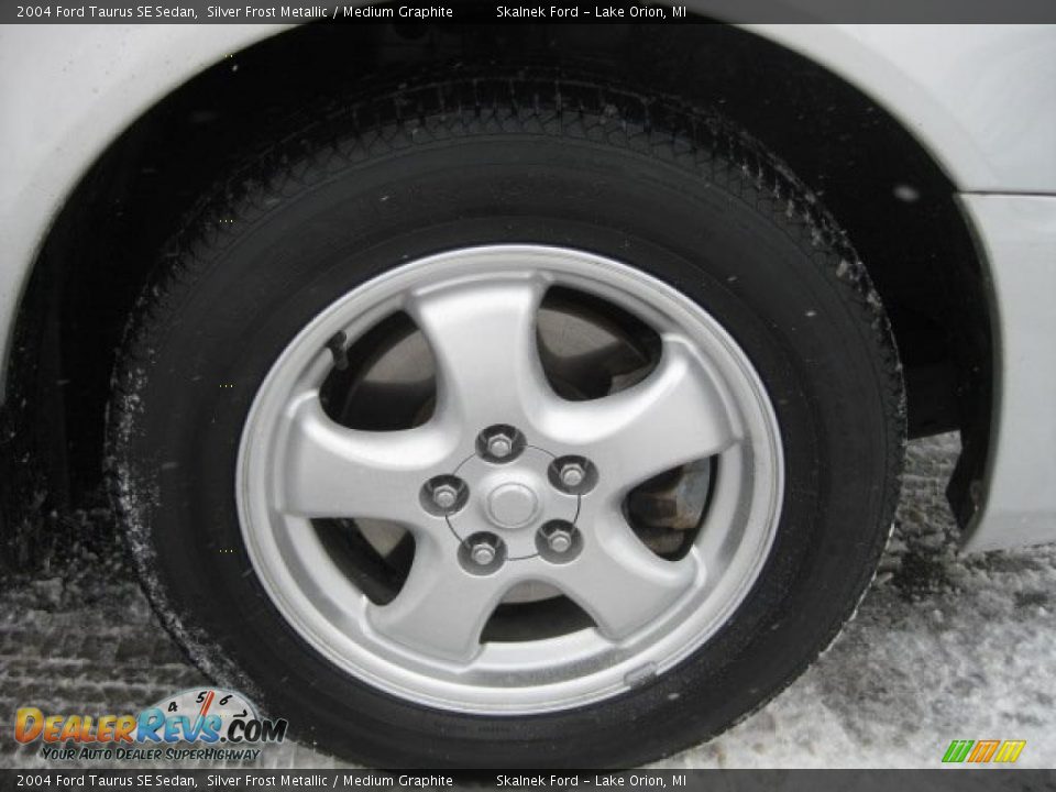2004 Ford Taurus SE Sedan Silver Frost Metallic / Medium Graphite Photo #13