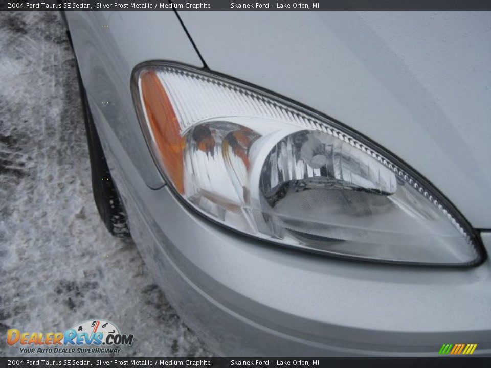 2004 Ford Taurus SE Sedan Silver Frost Metallic / Medium Graphite Photo #14
