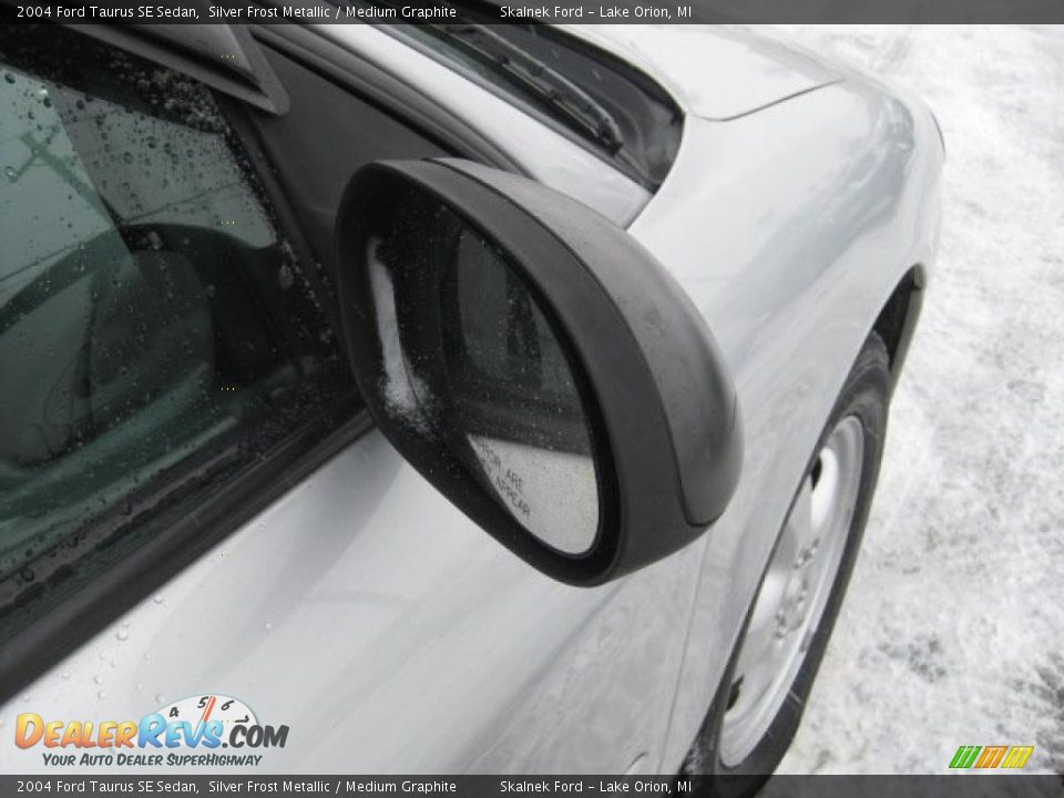 2004 Ford Taurus SE Sedan Silver Frost Metallic / Medium Graphite Photo #16