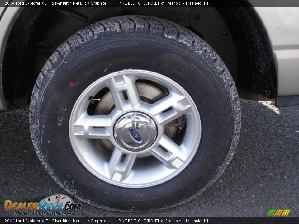2004 Ford Explorer XLT Silver Birch Metallic / Graphite Photo #8