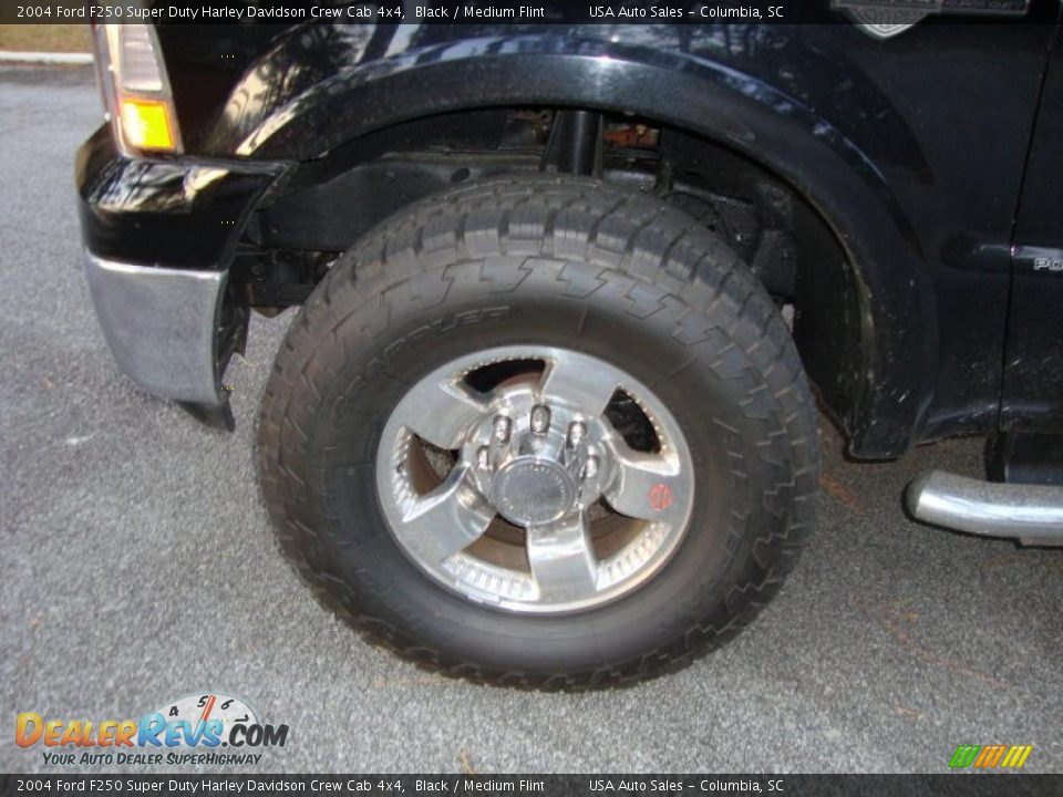 2004 Ford F250 Super Duty Harley Davidson Crew Cab 4x4 Black / Medium Flint Photo #6