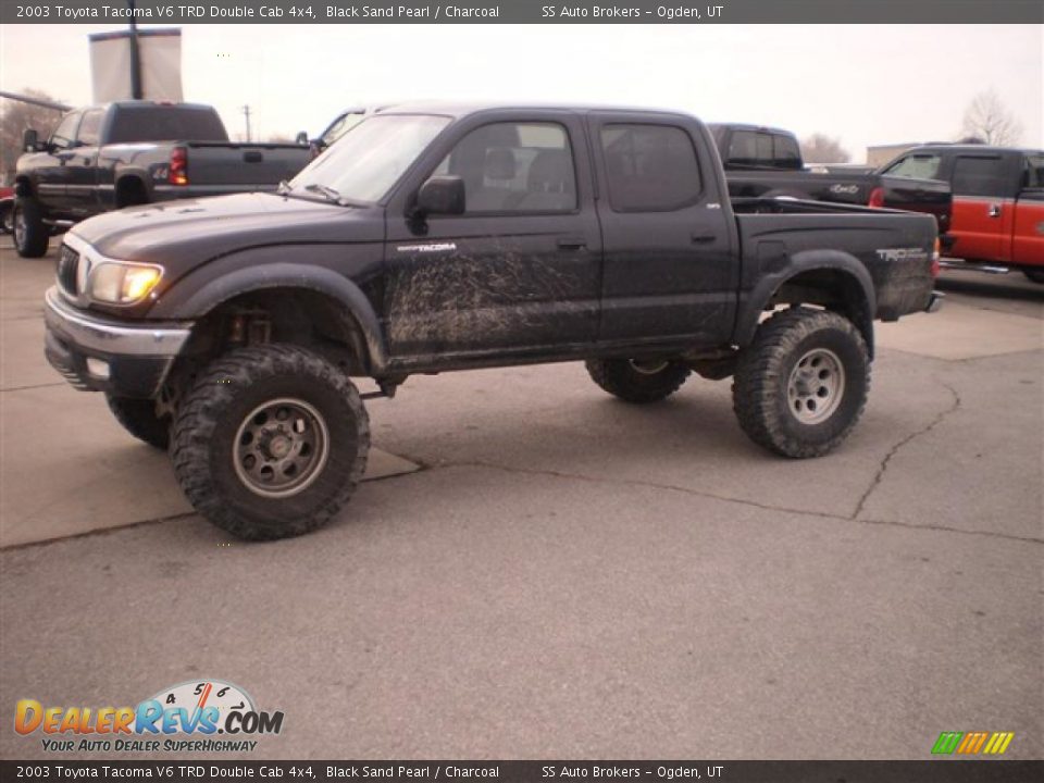 2003 Toyota Tacoma V6 TRD Double Cab 4x4 Black Sand Pearl / Charcoal Photo #1