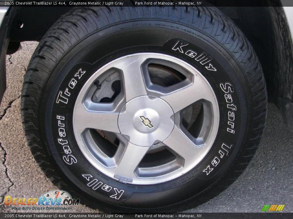 2005 Chevrolet TrailBlazer LS 4x4 Graystone Metallic / Light Gray Photo #6