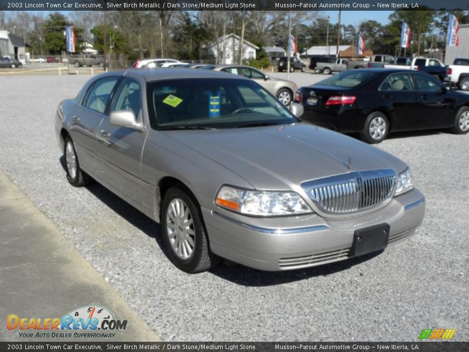 2003 Lincoln Town Car Executive Silver Birch Metallic / Dark Stone/Medium Light Stone Photo #7