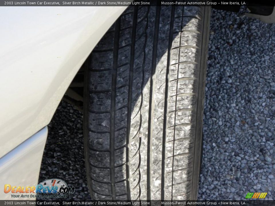 2003 Lincoln Town Car Executive Silver Birch Metallic / Dark Stone/Medium Light Stone Photo #15
