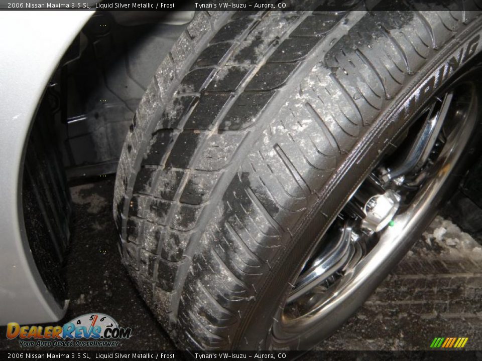 2006 Nissan Maxima 3.5 SL Liquid Silver Metallic / Frost Photo #19