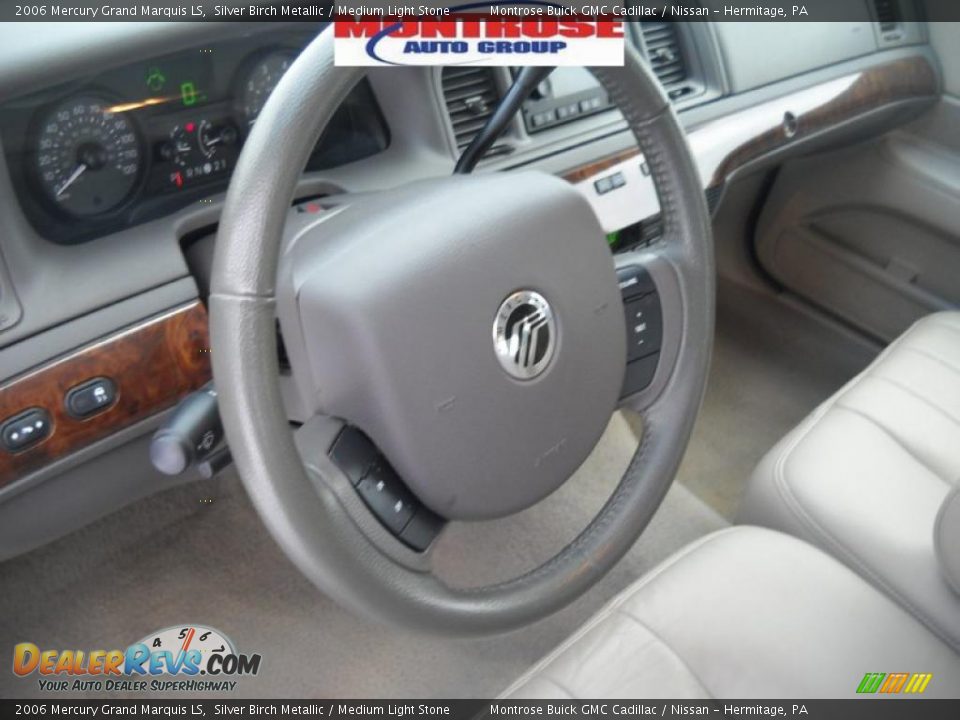 2006 Mercury Grand Marquis LS Silver Birch Metallic / Medium Light Stone Photo #9