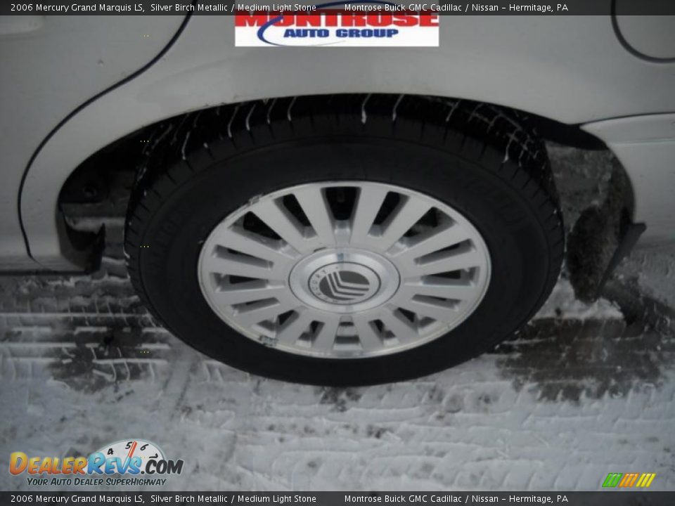 2006 Mercury Grand Marquis LS Silver Birch Metallic / Medium Light Stone Photo #15