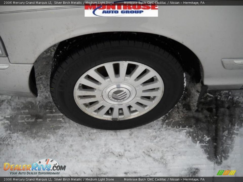 2006 Mercury Grand Marquis LS Silver Birch Metallic / Medium Light Stone Photo #17